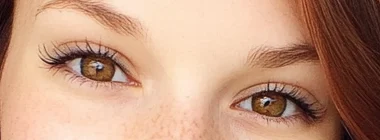 Eyes and brows
